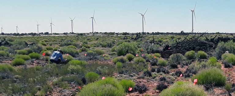 Windmill Survey Navajo County AZ cropped